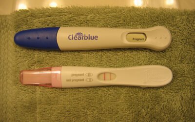 Chances of Getting Pregnant During Ovulation